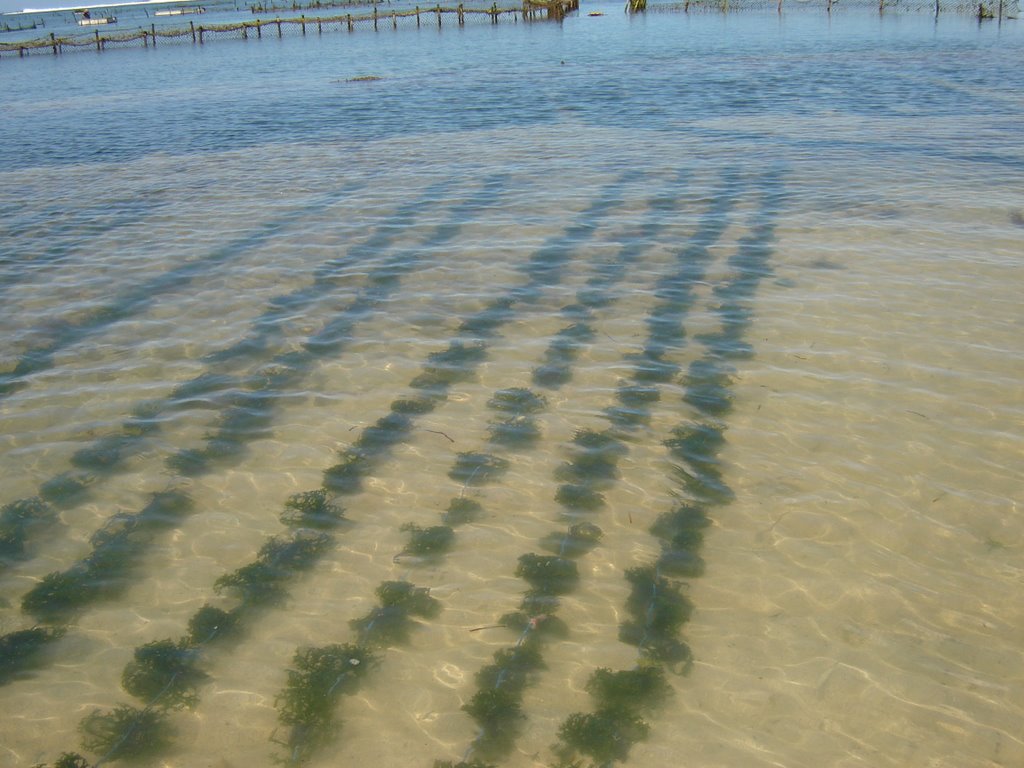 blog image